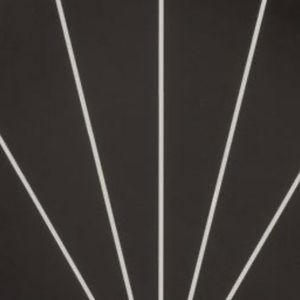 Meet your Posher, Dixie